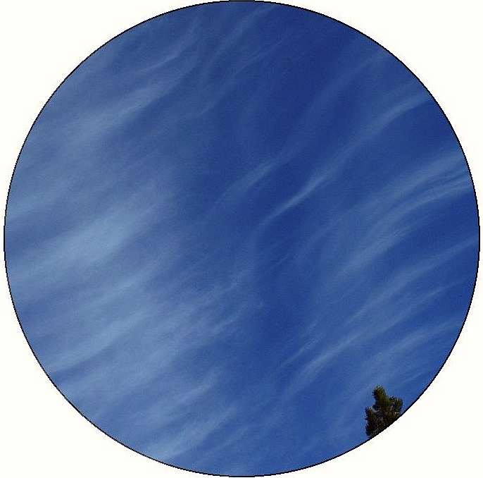 Chemtrails Pinback Buttons and Stickers