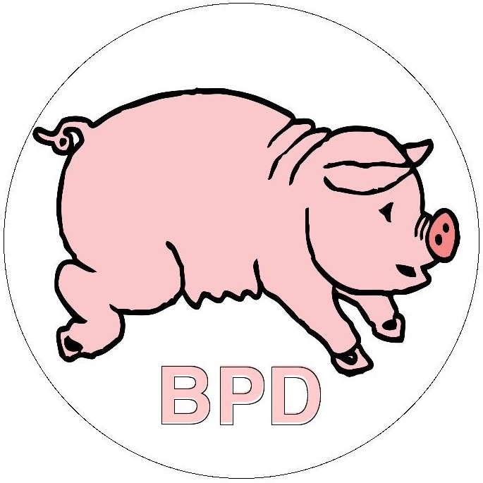 Pig Pinback Button and Stickers