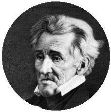 Andrew Jackson Pinback Button