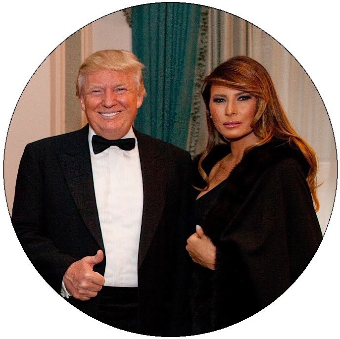 Donald J. Trump Pinback Button and Stickers