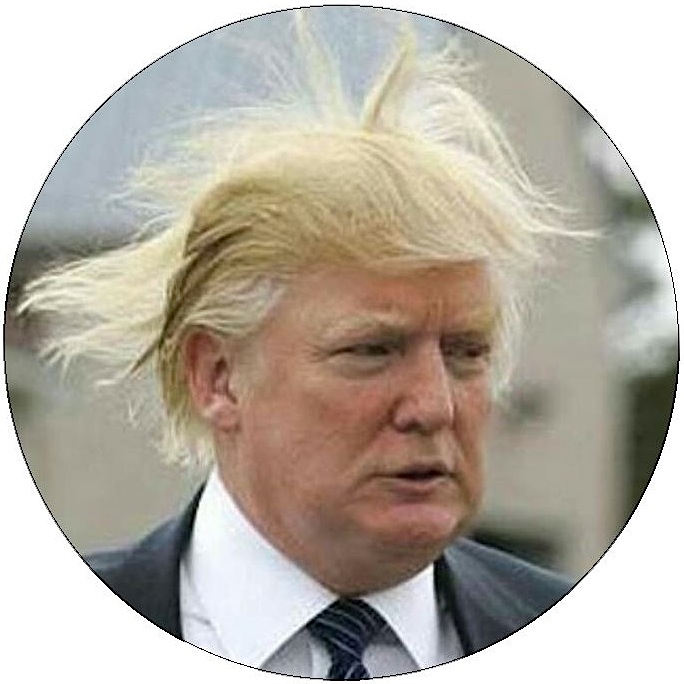 Trump Hair Pinback Button and Stickers
