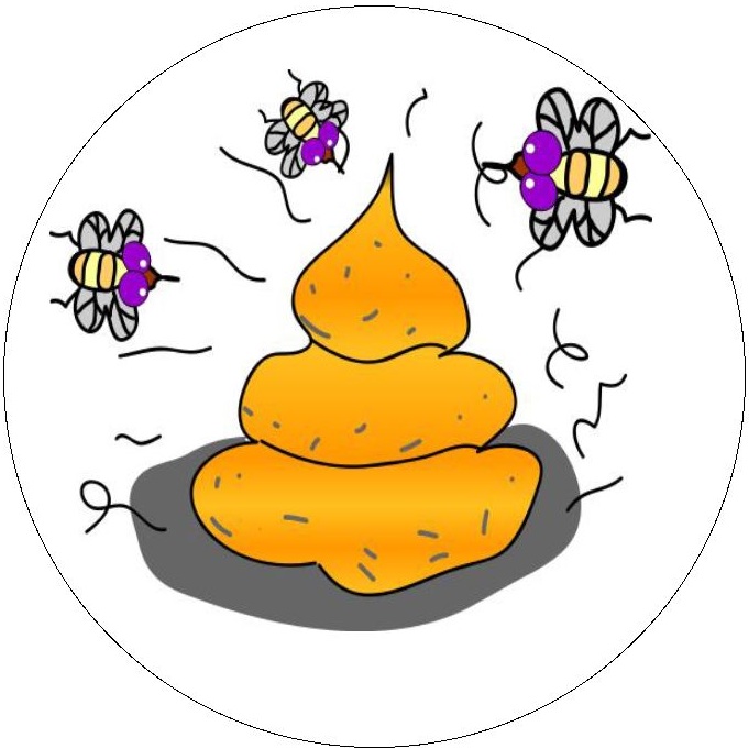 Holy Shit Pinback Button and Stickers